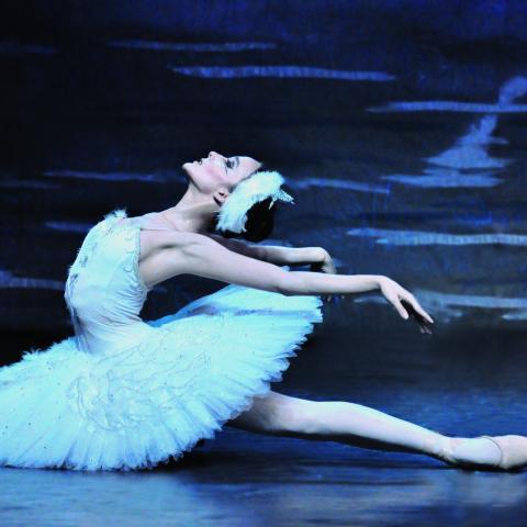 «Лебединое озеро» едет в Крым: где и когда посмотреть легендарный балет Чайковского